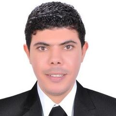 Mohammed Elattar, Assistant Chief Accountant