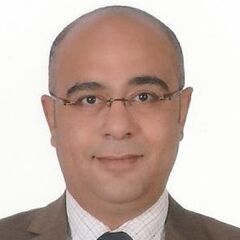 محمد صبحي, Sales Manager