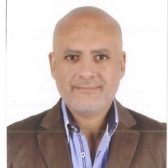Mohamed Fouad, Cost Manager