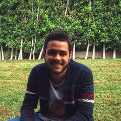 kirollos emad, Sales And Marketing Assistant
