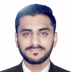 Syed Zeeshan Ahmad