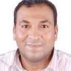 Amr Fouad Awad Mohamed, Project Manager
