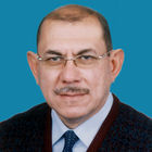 محمد على لبيب أبو السعود, Technical industrial consultant