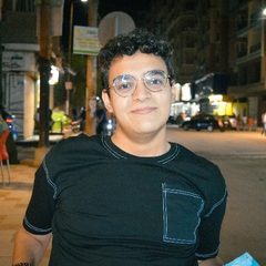 Ahmed Abdelmaasod mohey eldein abouraia , 