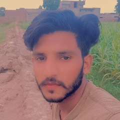 Muhammad  Noman