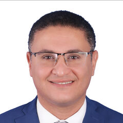 Waleed Ali Mohamed Awad, IT Sales Manger