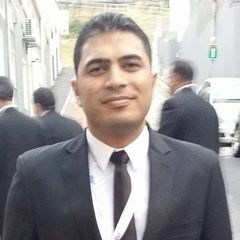 Mohamed Ashraf, Sales Manager