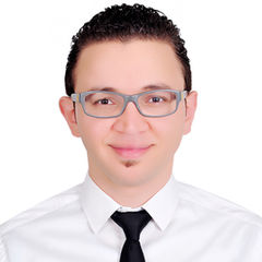 محمد عباس الحسينى عبد الفتاح حجازي, Accountant