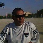 محمد محمود جاد علام allam, المدير التنفيذى للشركة