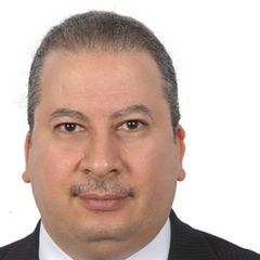 Adel Mahran, Sales Manager - Projects