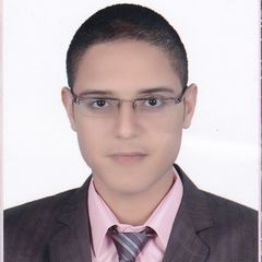 احمد محمد عبد العزيز عثمان, Teaching Assistant