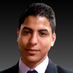 أحمد الصفتى, Salesperson
