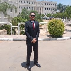 عمرو  أحمد سعيد, Database Administrator