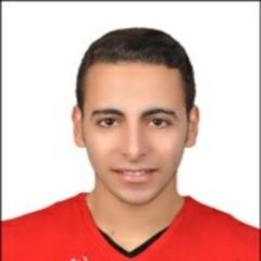 profile-حامد-عبدالناصر-حامدمحمد-29585931