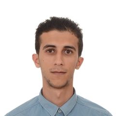معن أبو شقرة, System & Network Administrator