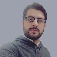 Mujahid Hussain, Document controller
