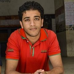 mohamed abd Elmenam