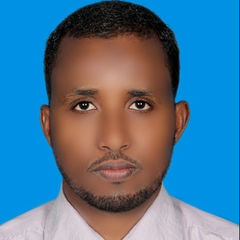 أحمد موسى, Deputy manager