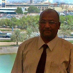 Hisham Elsyoufi, مدير مالي