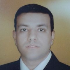 محمود سيد, Section head