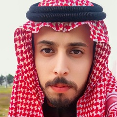 sultan alotibi