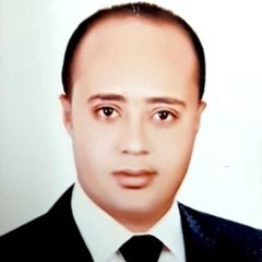 Mahmoud Shalaby, Customer services Manager