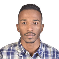 ahmed Abdalla, Software Developer