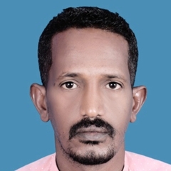 Hashim  Abdallah Ibrahim, statistics data analyst 