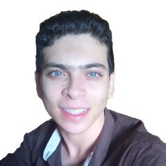 Ahmed HassanFadel, Cashier