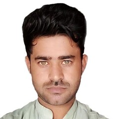 Muhmmad Amir