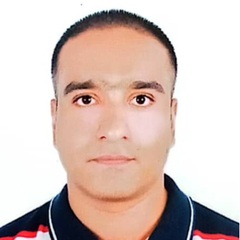 علي علي, Executive Accounts & ERP consultant