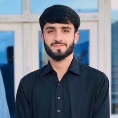 Salim Saeedi