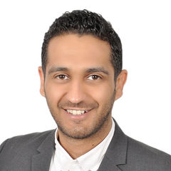 Ahmed Essam, Digital Transformation Consultant