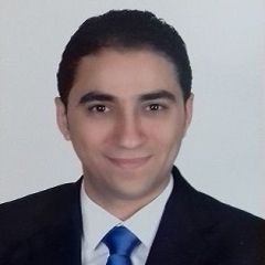 Amir Fahmy, IT Senior Supervisor Developer