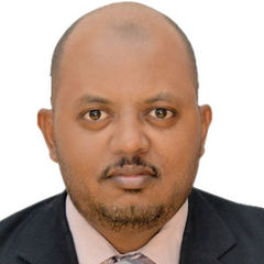 معتز عبد الرحمن, ERP Project Manager,Sr.Business Analyst