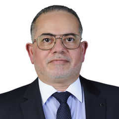 Montasser Fahmy, Project Manager/Projects Control Supervisor/Senior Architect Engineer