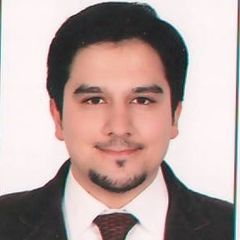 Hamza Khan, Project Electrical Engineer