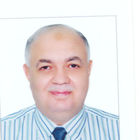 عبدالناصر kotaite, Head of Stractural Section