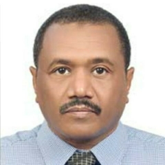  Maaz Siddig Ibrahim, Consultant