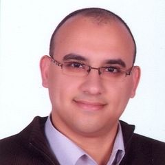 وليد حسن سيد محمد شلبي شلبي, Part Time IT Manager and Web Developer