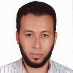 ياسر عبد القوى ابو الذهب, مدير مشروع
