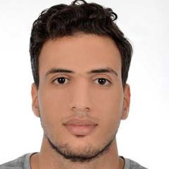 Tarik Bendali, محاسب