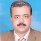 حاتم سيد احمد, ادارة تنفيذية