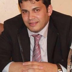 محمد النوبي, مدير مشاريع 