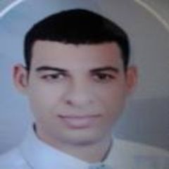 محمد إسماعيل  عبد الله, Vice Head of Information Technology