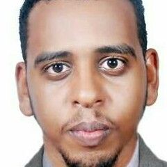 Mohamed Mustafa Bushara Mohamed SIDDIG