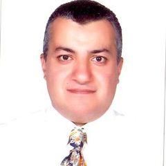 عمرو إبراهيم, BD & Senior Proposal Manager- Business Development Division