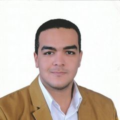Hesham Abdel-hamid Ali, CMA, Tax Examiner