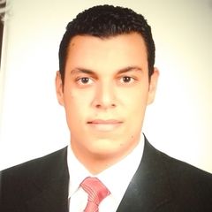 محمد محمود محمد شرف الدين