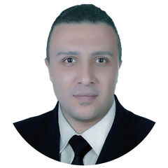 Mohamed Sakr, IT Section Head